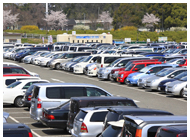 若葉区ニュース